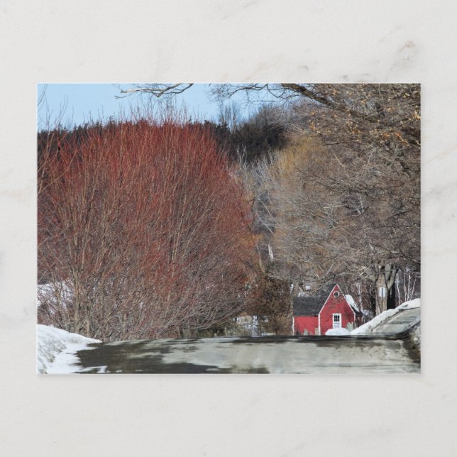 Red House on Lane Postkarte (Vorderseite)