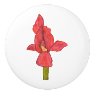 Red Iris Drawer Pull Keramikknauf