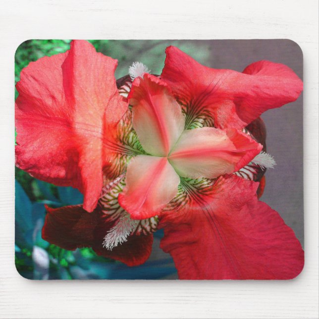 Red Iris Mousepad (Vorne)