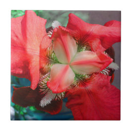 Red Iris Tile Fliese