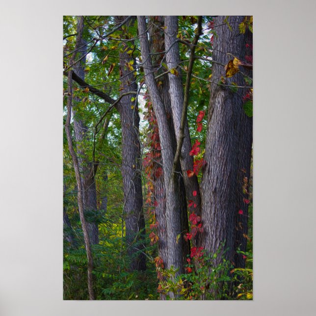 Red Ivy on Tree Poster (Vorne)
