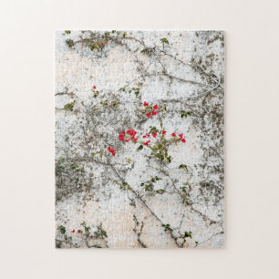 Red Ivy on White Wall Puzzle