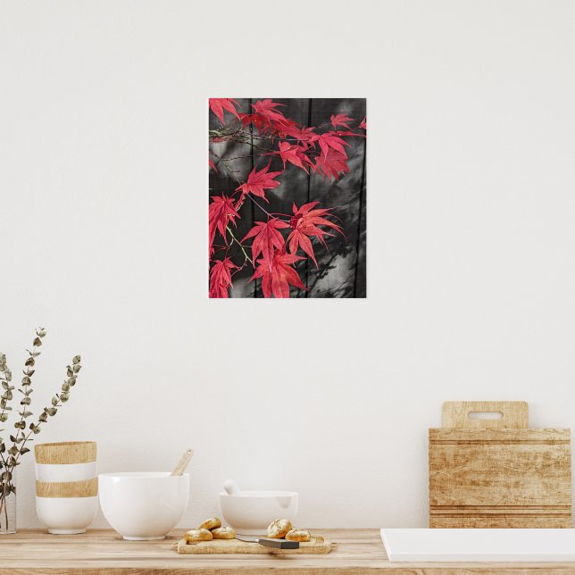 Red Japanese Maple Leaf Shadows Poster (Küche)