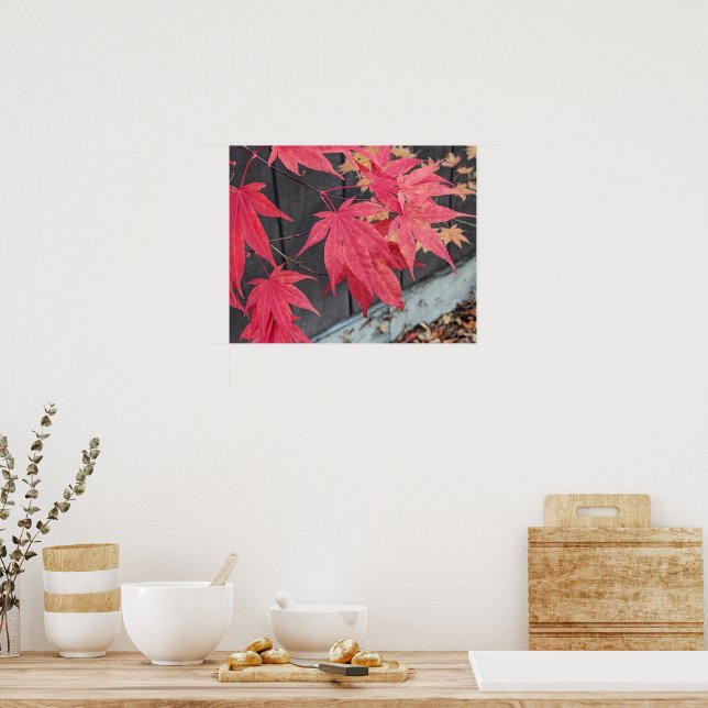 Red Japanese Maple Leaves Botancial Poster (Küche)