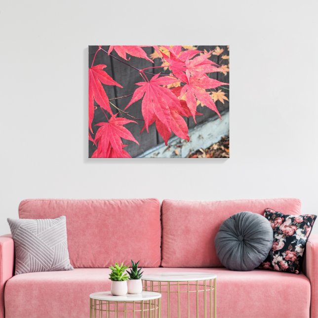 Red Japanese Maple Leaves Botanical Leinwanddruck (Insitu (Wohnzimmer))