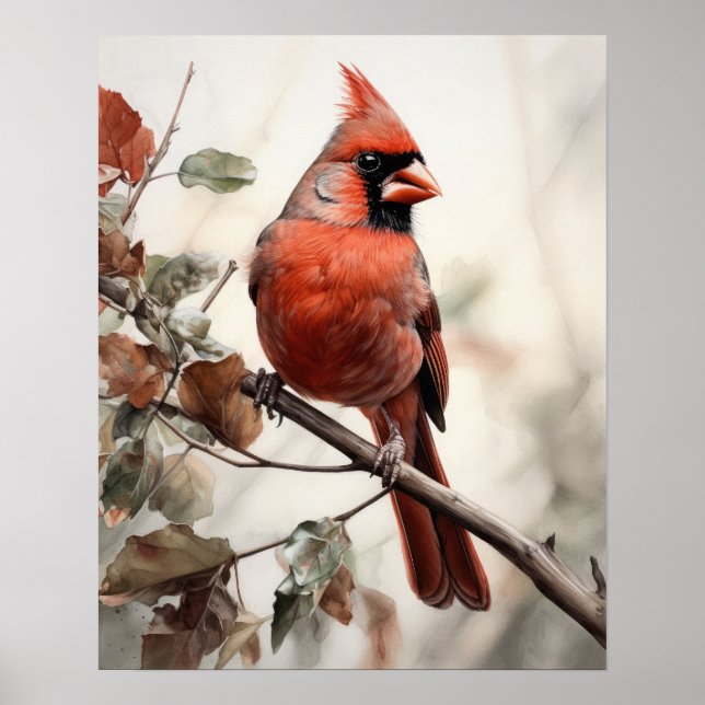 Red Kardinal Bird Art Print Poster (Vorne)