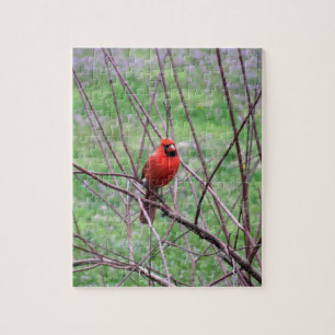 Red Kardinal Bird auf Zweig Puzzle