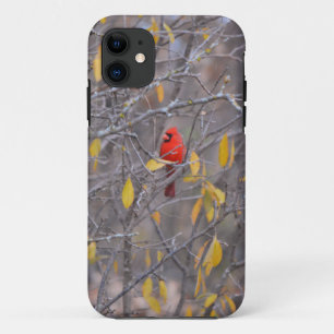 Red Kardinal Bird Herbst Herbst Tree Handy Fall Case-Mate iPhone Hülle