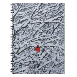 Red Kardinal Bird im Snow Tree Journal Notizblock