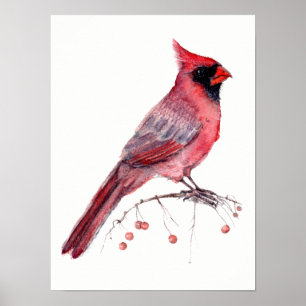 Red Kardinal Bird Poster