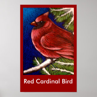 RED KARDINAL BIRD Poster