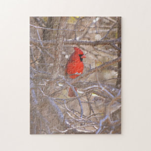 Red Kardinal Bird Puzzle