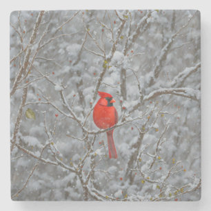 Red Kardinal Bird Snow Untersetzer