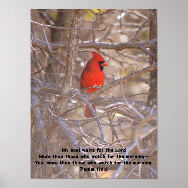 Red Kardinal Bird Wartete friedlich Bibel Verse Poster (Vorne)