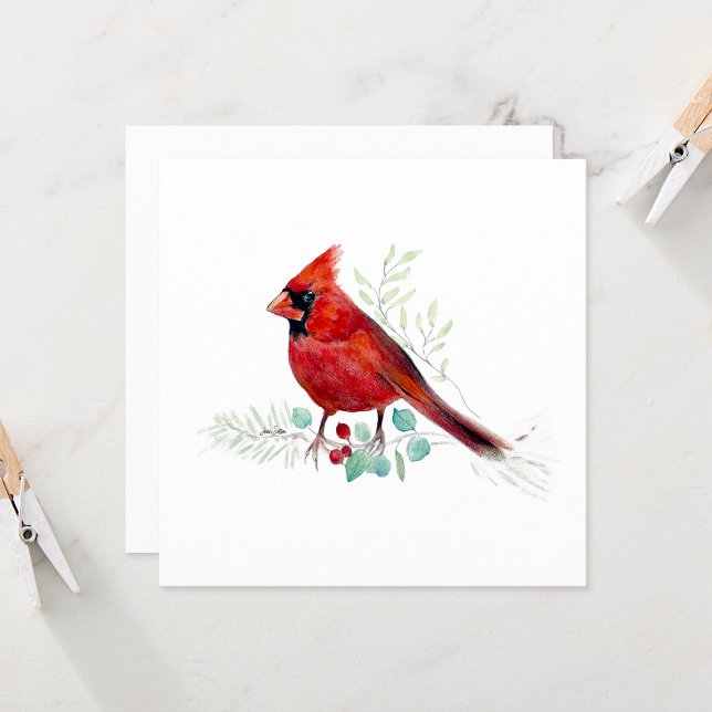 Red Kardinal Bird Watercolor (Red Cardinal Watercolor Colored Pencil Blank Square Note Cards from Jenn Steffen Art)