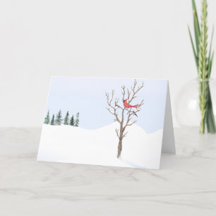 Red Kardinal Bird Weltfrieden Frohe Weihnachten