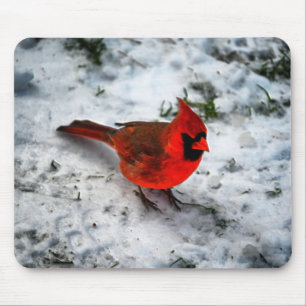 Red Kardinal Feathers and Plumage Mousepad