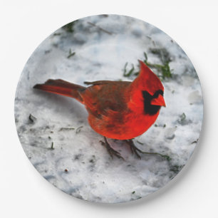 Red Kardinal Feathers and Plumage Pappteller