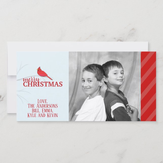Red Kardinal Foto Urlaubskarte Feiertagskarte (Vorderseite)