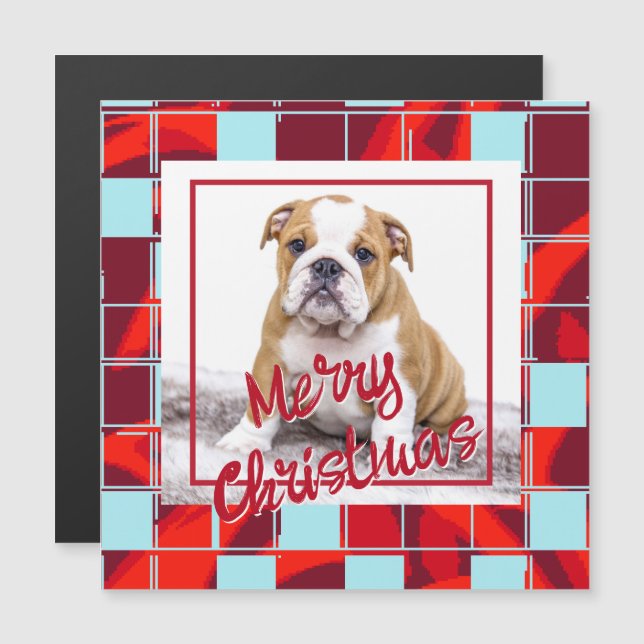 Red Kariert Bulldog Dog Foto Frohe Weihnachtsmagne Magnetkarte