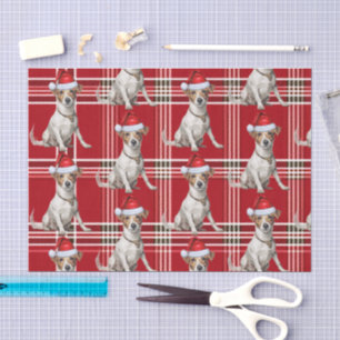 Red Kariert Jack Russell Dog Weihnachtsfeiertag Seidenpapier