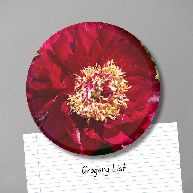 Red Karl Rosenfield Peony Magnet (Von Creator hochgeladen)