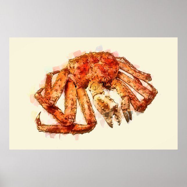 RED KING CRAB POSTER (Vorne)