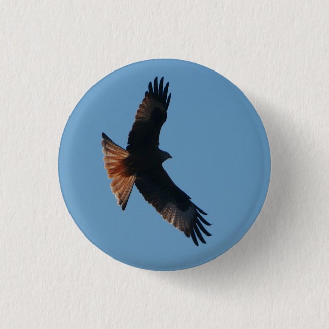Red Kite Abzeichen Button (Vorderseite)