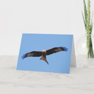 Red Kite Card Karte