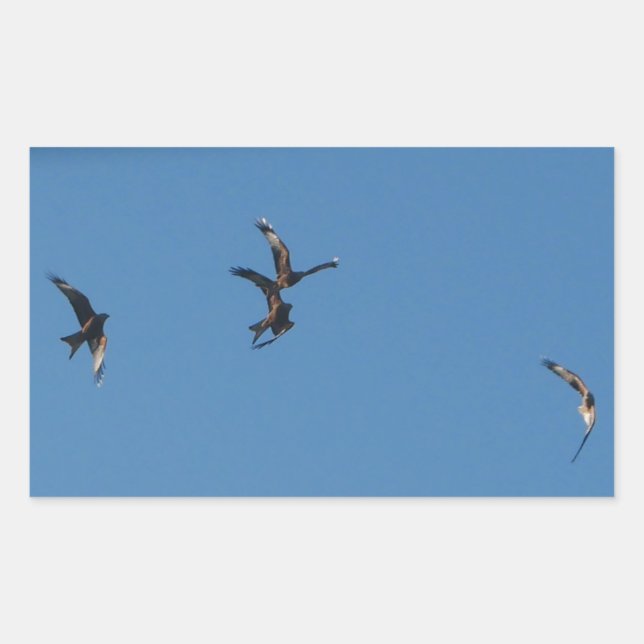 Red Kites Sticker (Vorderseite)