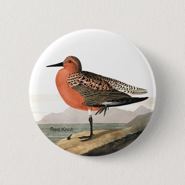 Red Knot by Audubon, Sandpiper Birdwatcher, Bird Button (Vorderseite)