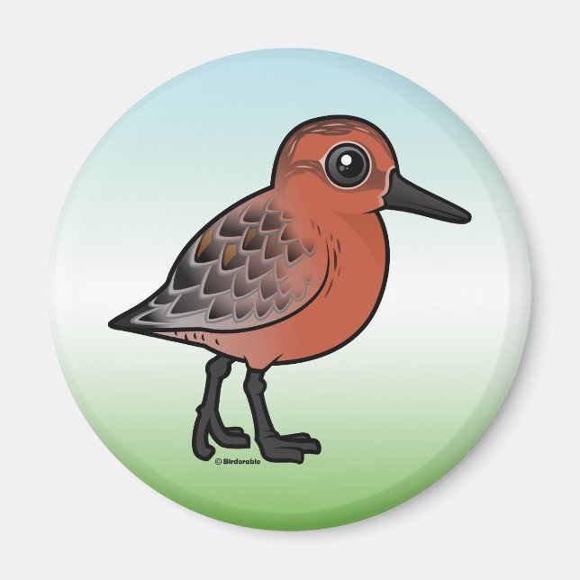 Red Knot Magnet (Vorne)