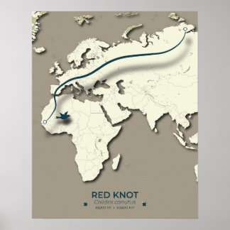 Red Knot Migration Map - Minimalistischer Vintager Poster