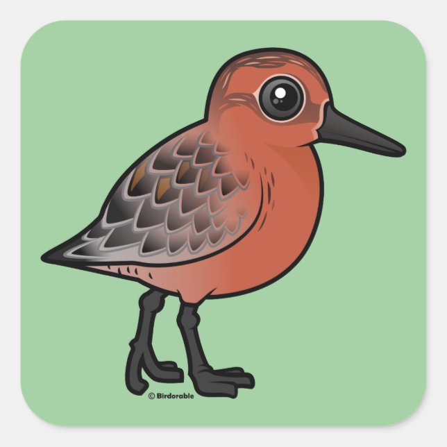 Red Knot Quadratischer Aufkleber (Vorderseite)
