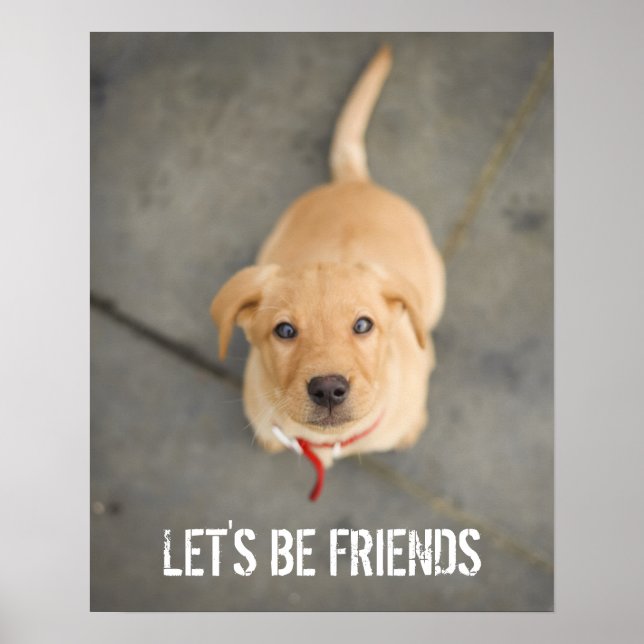 Red Labrador Puppy Poster (Vorne)