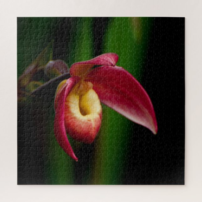 Red Lady Slippers Orchid Puzzle (Vertikal)