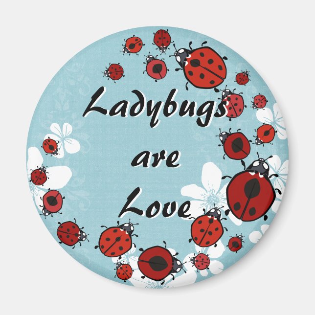 Red Ladybug Magnet (Vorne)