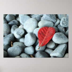 Red leaf and stones poster