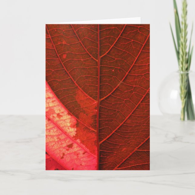 Red Leaf Feiertagskarte (Vorderseite)