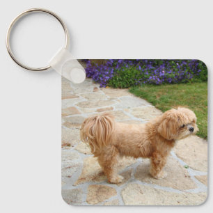 Red Lhasa Apso Hund Schlüsselanhänger