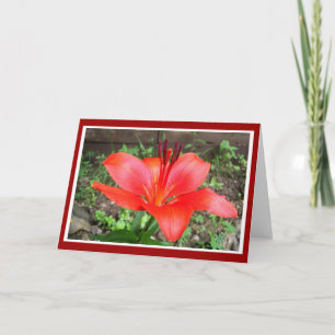 Red Lilie 1 Karte