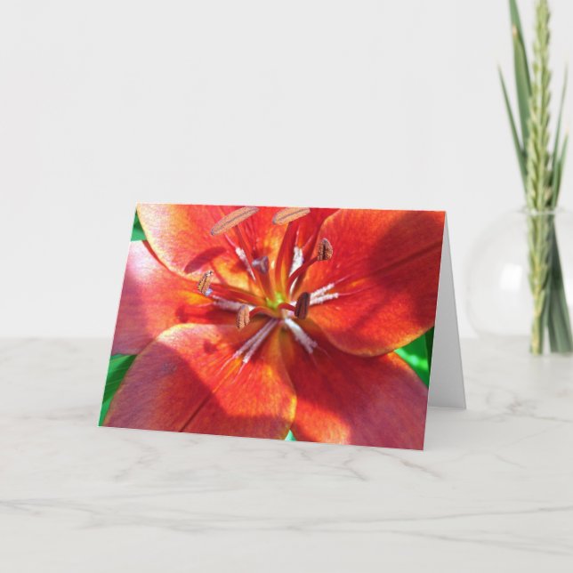 Red Lily Karte (Vorderseite)