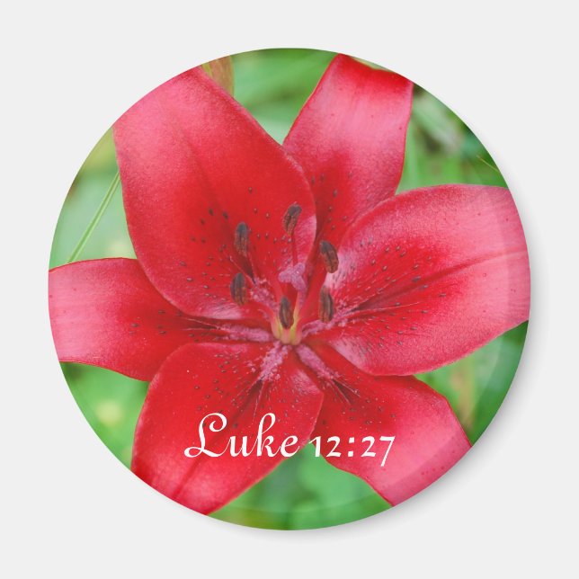 Red Lily Magnet Luke 12:27 (Vorne)