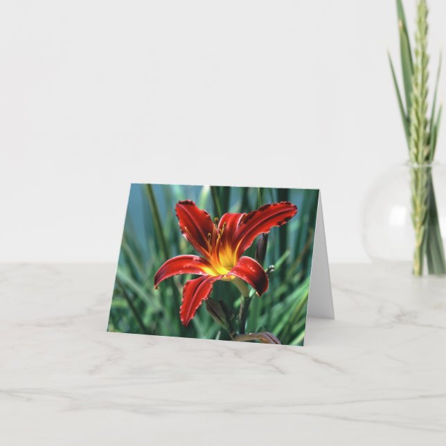 Red Lily Note Card Karte (Vorderseite)