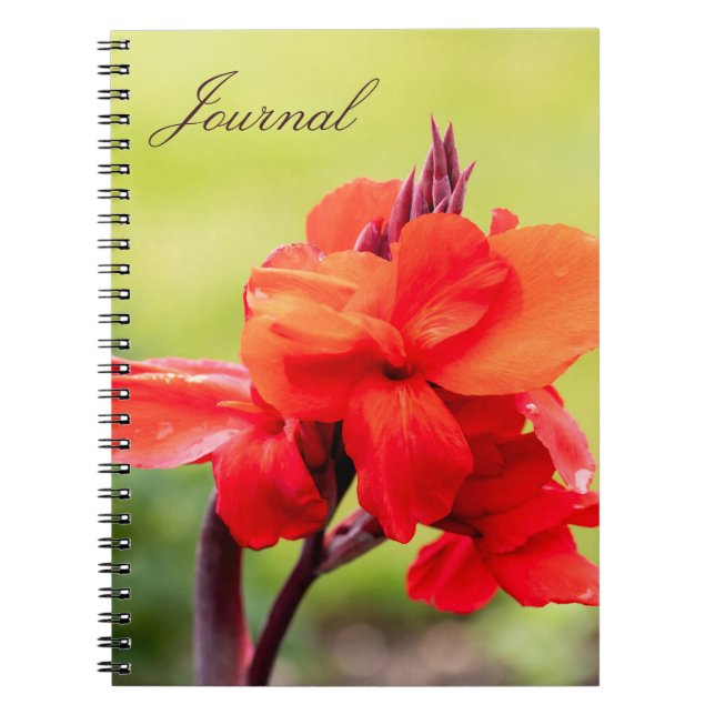 Red Lily Notebook Notizblock (Vorderseite)