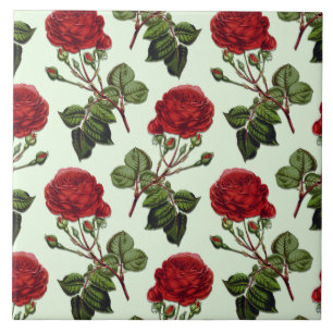 Red Long Stem Rose Muster Minze Green Hintergrund Fliese