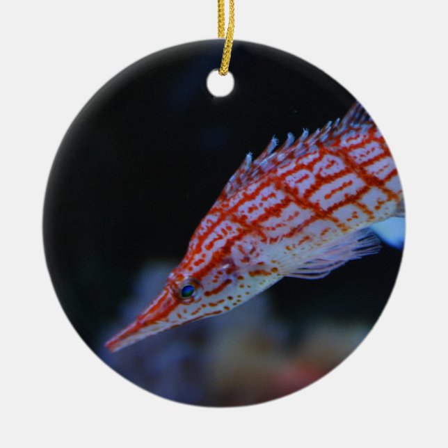 Red Longnose Hawkfish Keramikornament (Vorne)