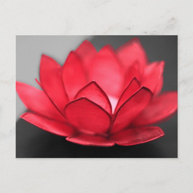 Red Lotus Postkarte (Vorderseite)
