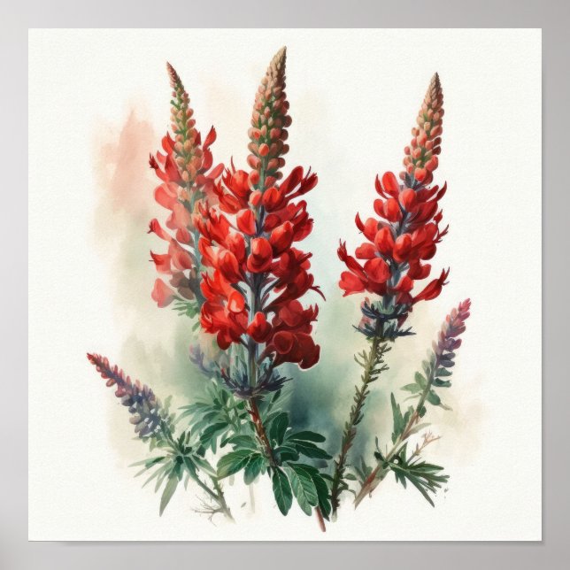 Red Lupine Blume Art Print Poster (Vorne)