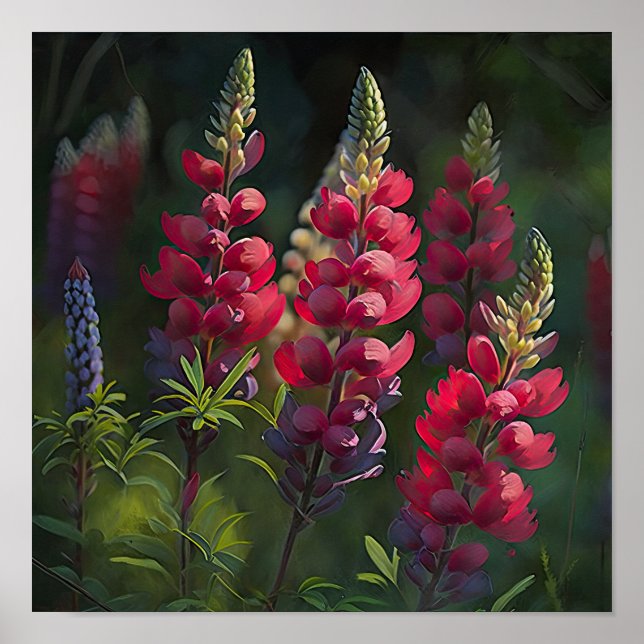 Red Lupine Blume Art Print Poster (Vorne)